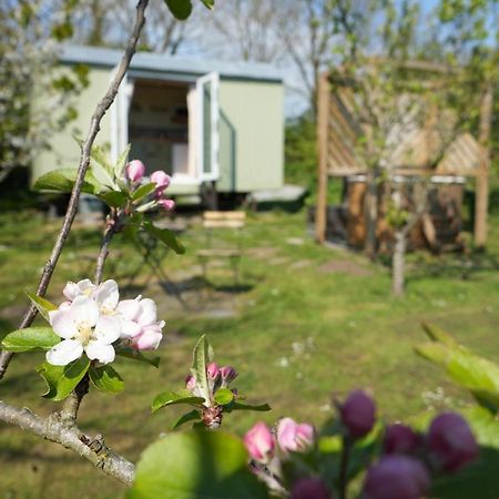 Ferienwohnung Hillcrest Hut Tenby Exterior foto